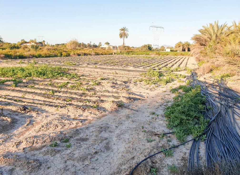 Resale - Plot - La hoya - La Hoya-Daimes-El Derramador
