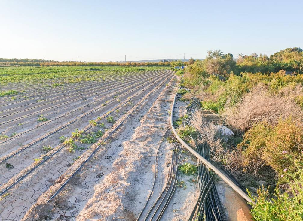 Resale - Plot - La hoya - La Hoya-Daimes-El Derramador