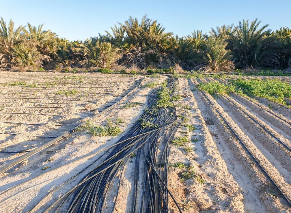 Resale - Plot - La hoya - La Hoya-Daimes-El Derramador