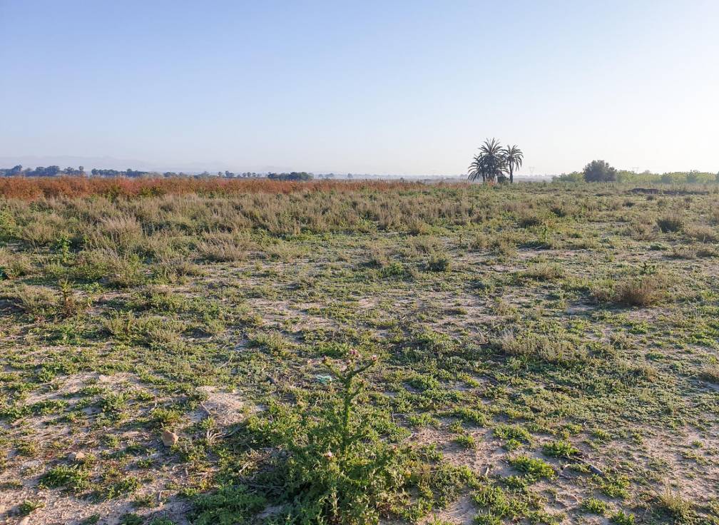 Resale - Plot - La marina - Molar