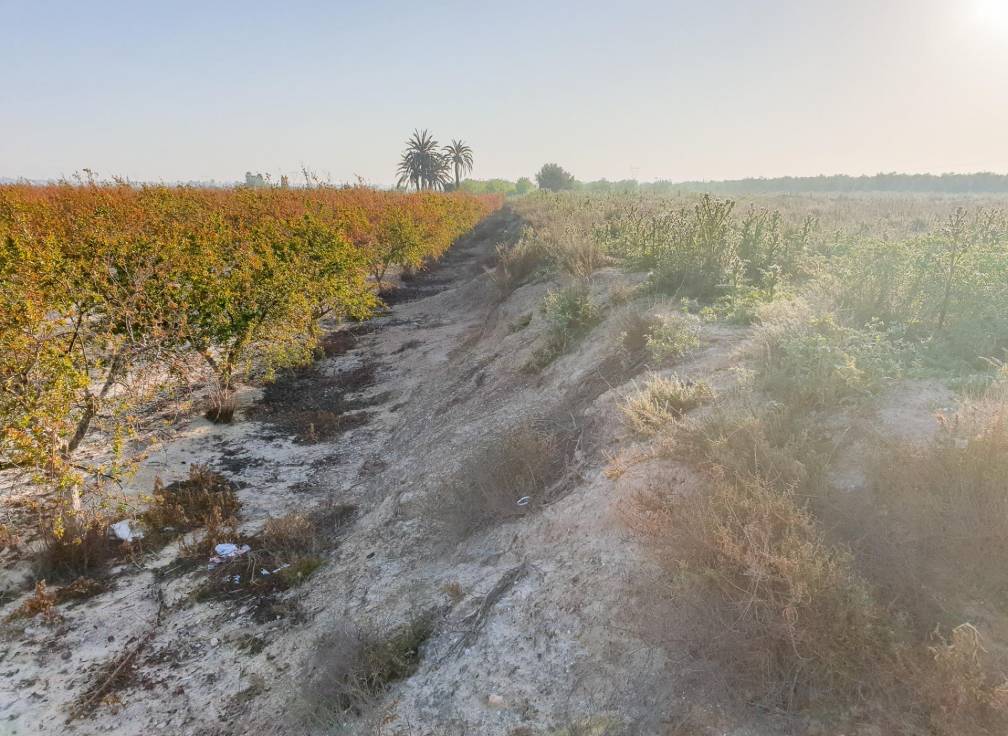 Resale - Plot - La marina - Molar