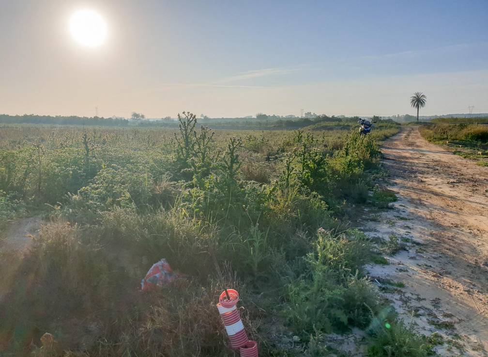 Resale - Plot - La marina - Molar