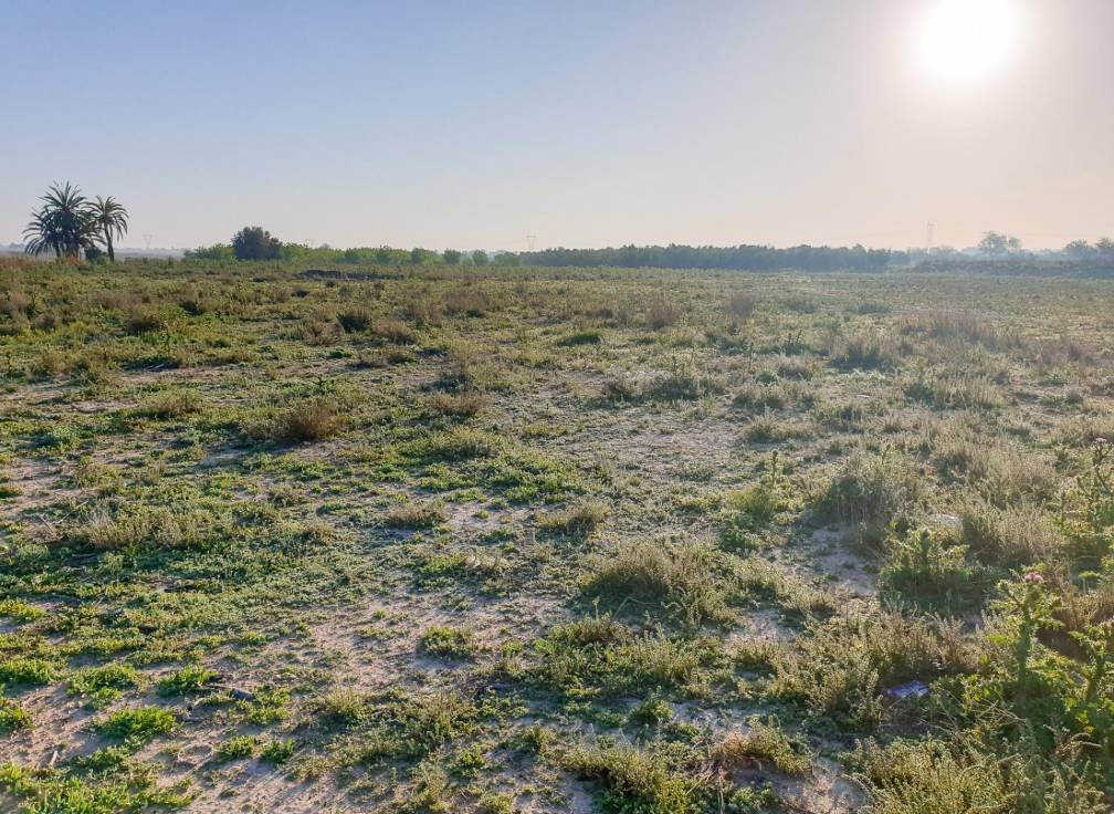 Resale - Plot - La marina - Molar