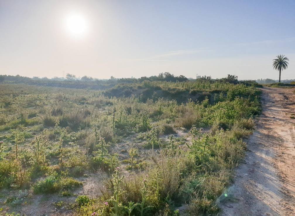 Resale - Plot - La marina - Molar