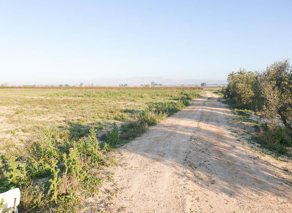 Resale - Plot - La marina - Molar