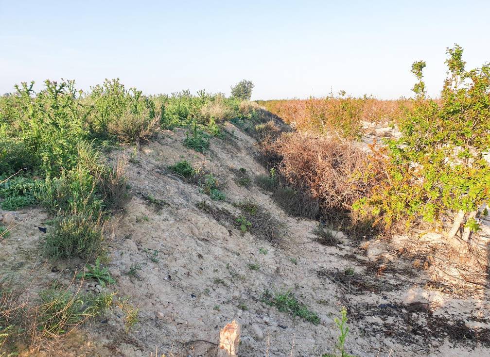 Resale - Plot - La marina - Molar