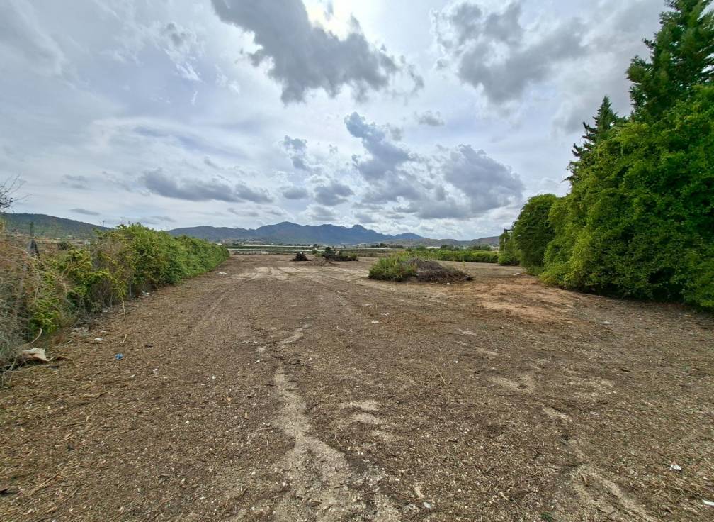 Resale - Plot - La Romana - Crta. LA ROMANA