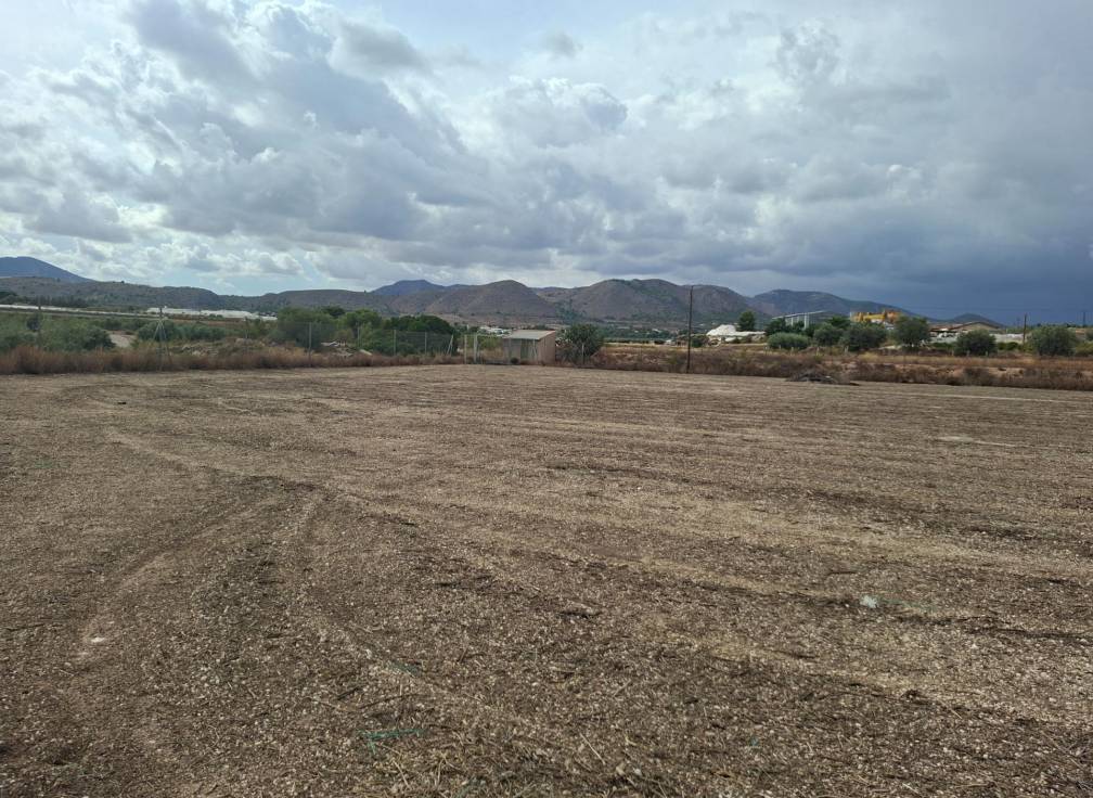 Resale - Plot - La Romana - Crta. LA ROMANA