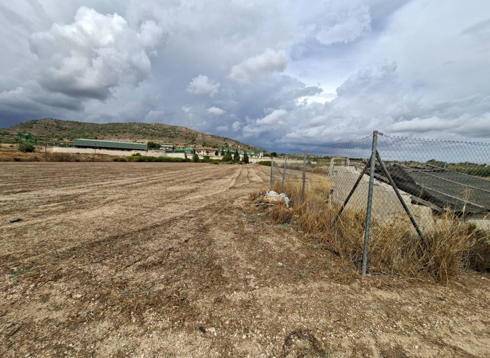 Resale - Plot - La Romana - Crta. LA ROMANA