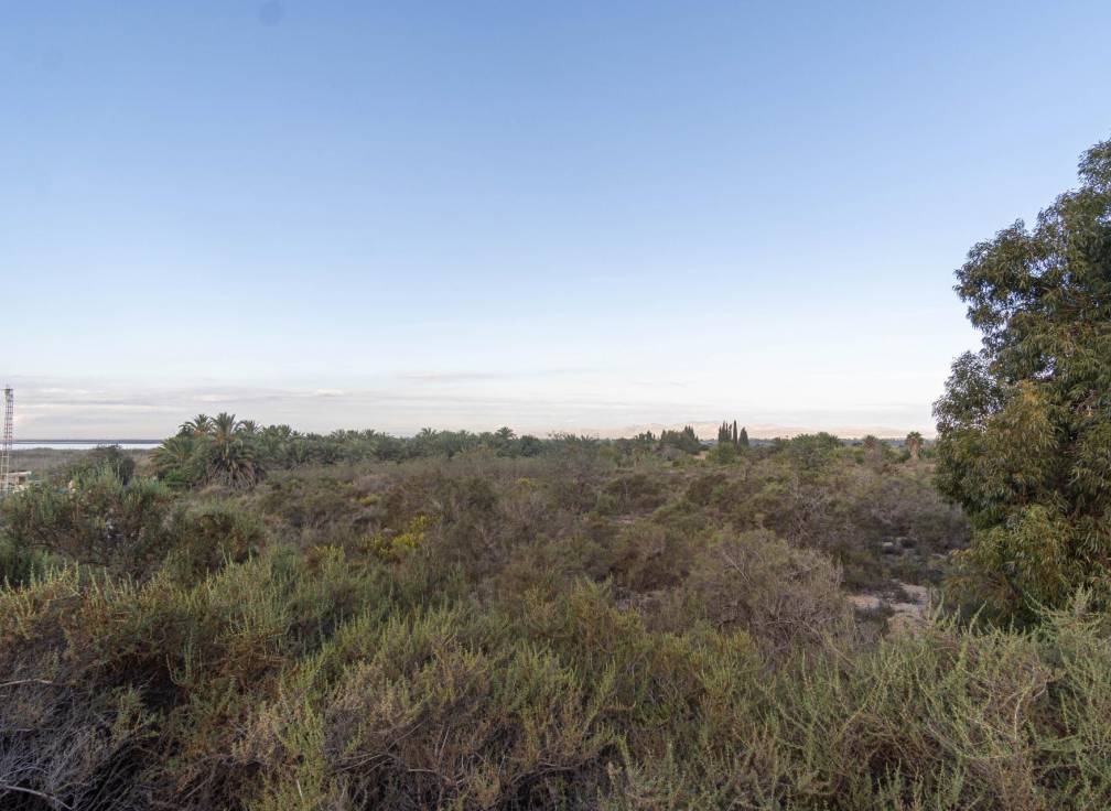 Resale - Plot - Valverde (Alicante) - Ctra de santa pola
