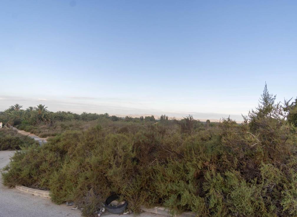 Resale - Plot - Valverde (Alicante) - Ctra de santa pola