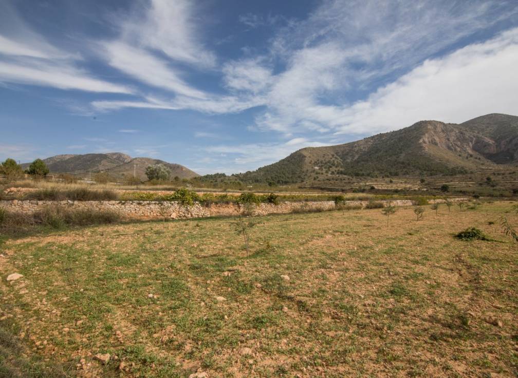 Resale - Rural Land - Algueña