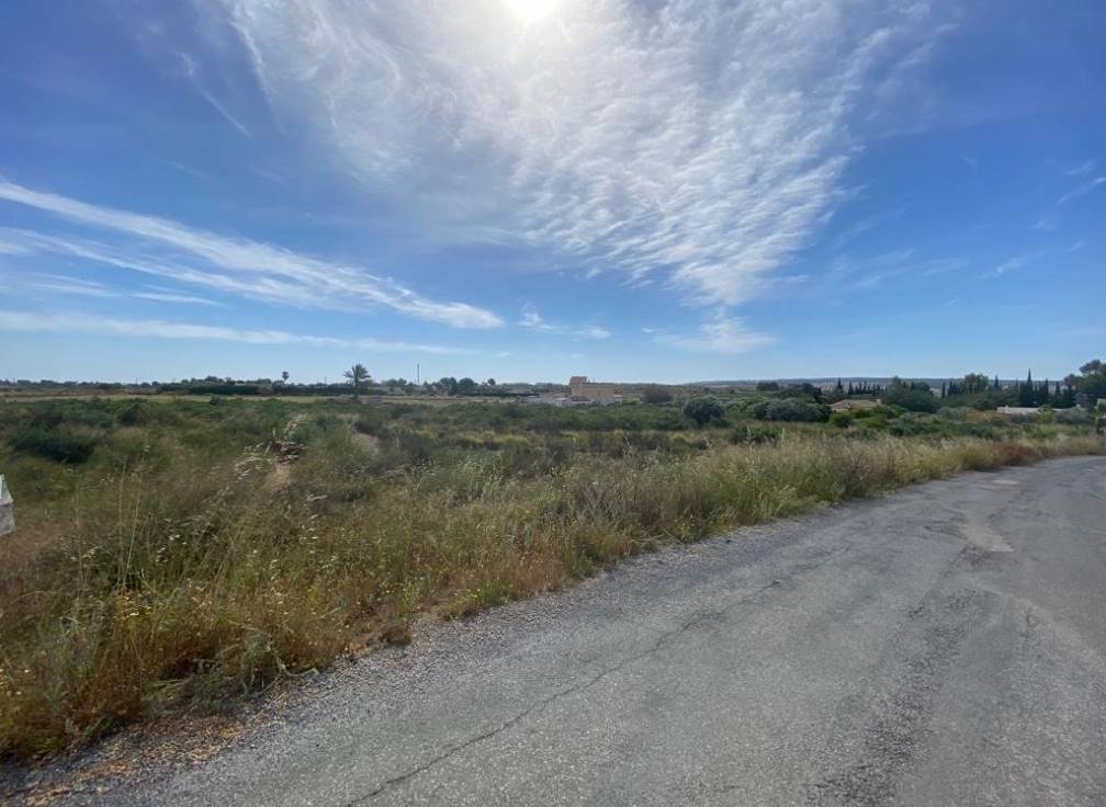 Resale - Rural Land - Elche Pedanías - LOS BALSARES