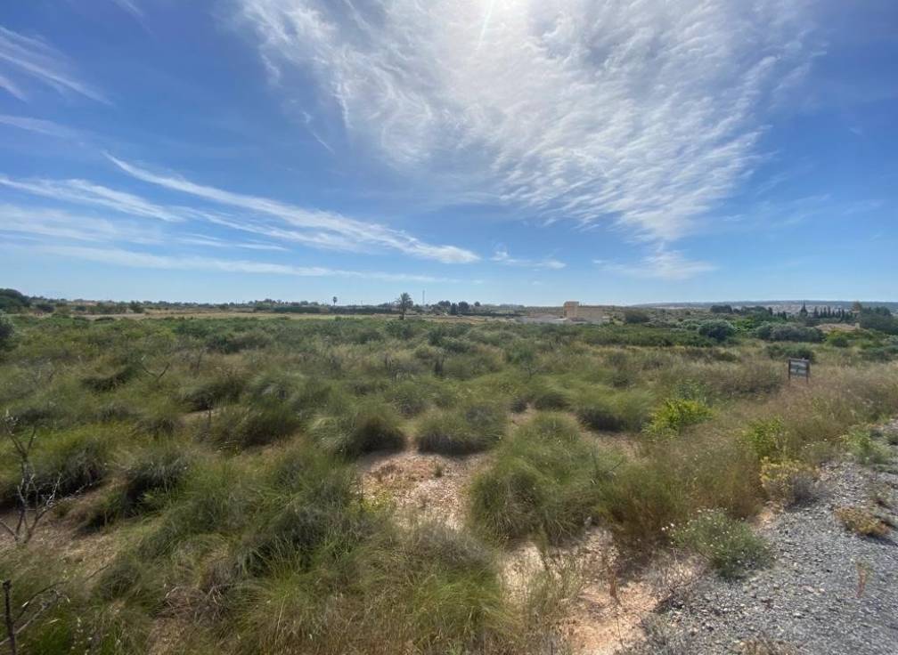 Resale - Rural Land - Elche Pedanías - LOS BALSARES