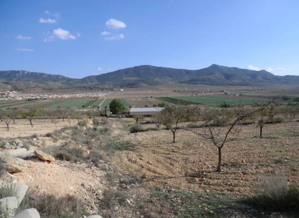 Resale - Rural Land - Hondón de las Nieves - EL REBALSO