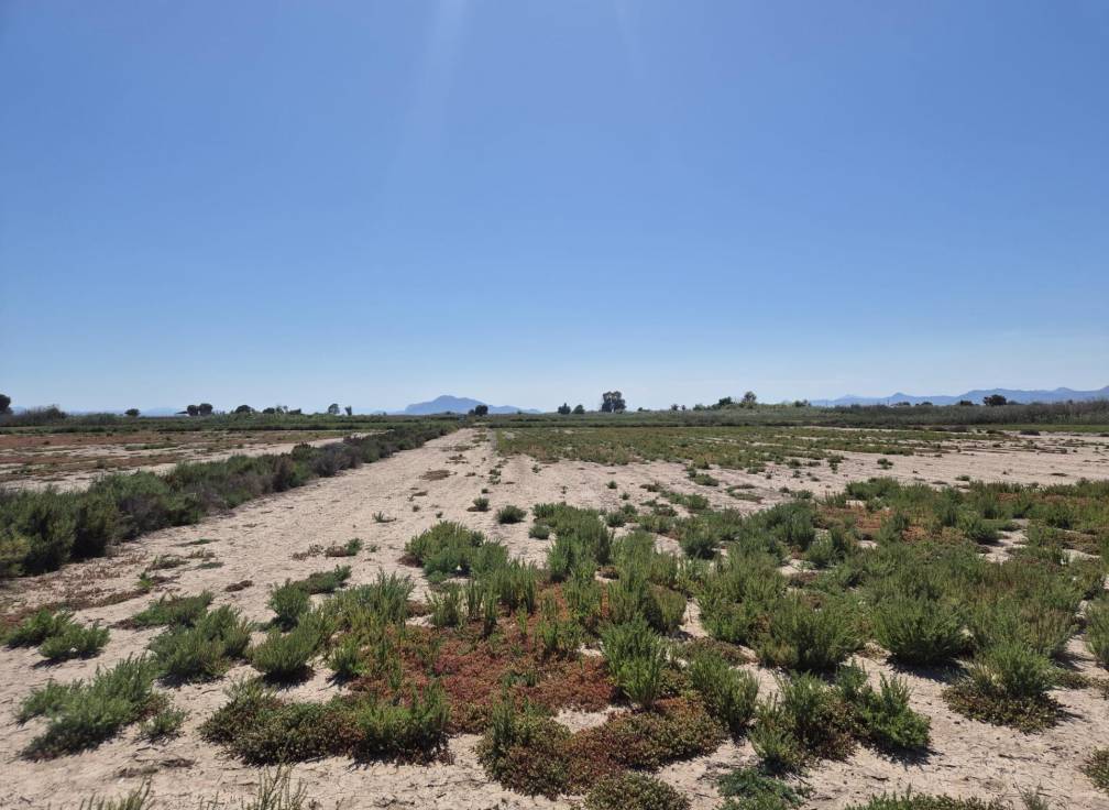 Resale - Rural Land - La hoya - La Hoya-Daimes-El Derramador