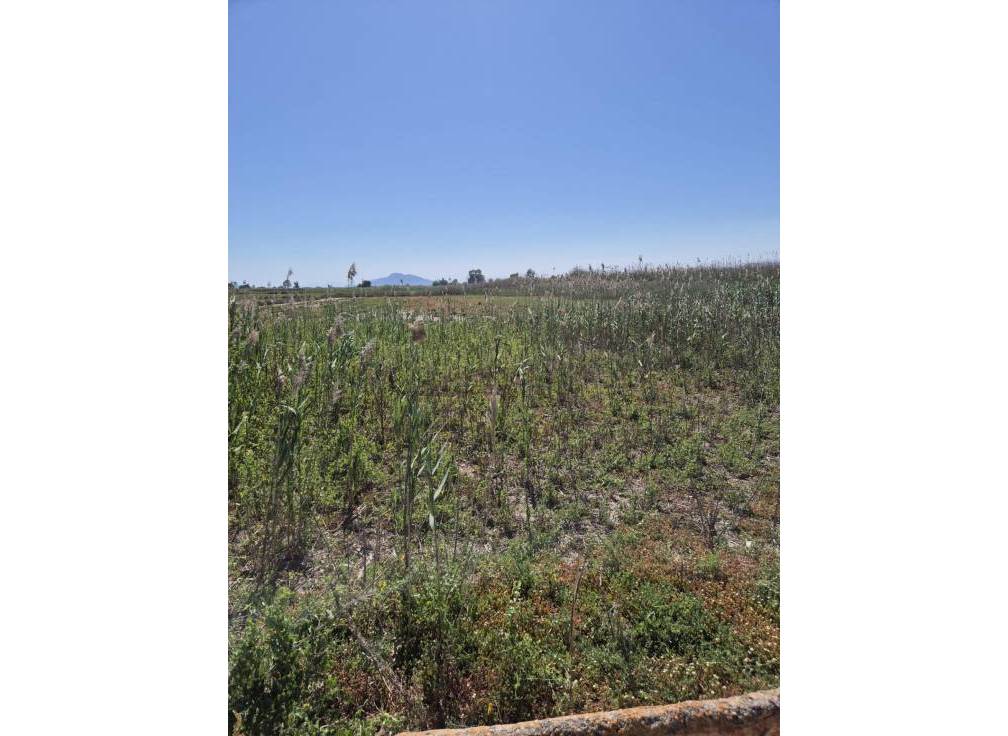 Resale - Rural Land - La hoya - La Hoya-Daimes-El Derramador