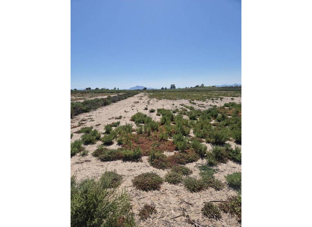 Resale - Rural Land - La hoya - La Hoya-Daimes-El Derramador