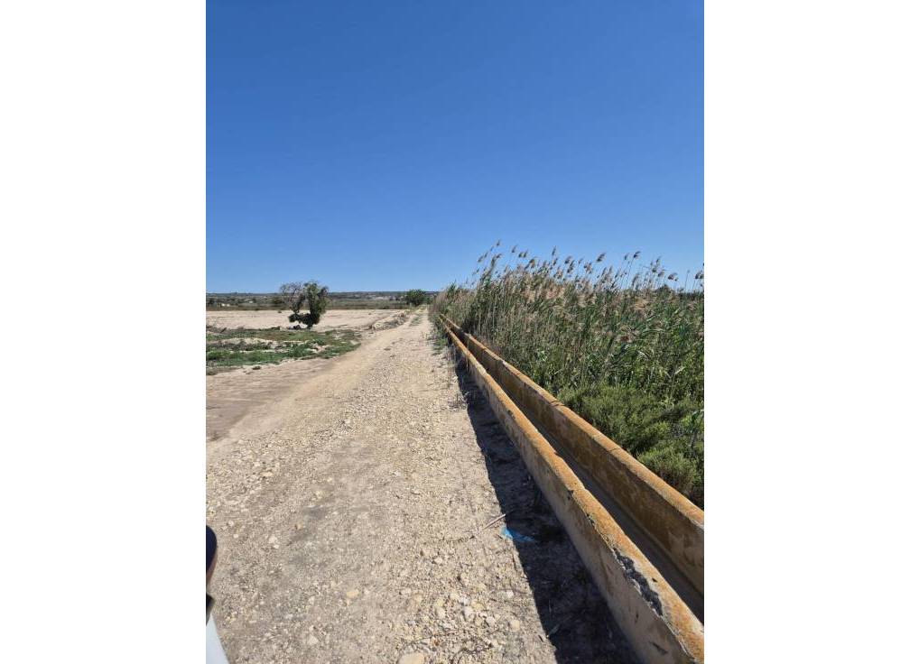 Resale - Rural Land - La hoya - La Hoya-Daimes-El Derramador