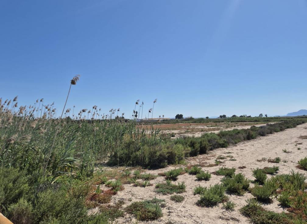 Resale - Rural Land - La hoya - La Hoya-Daimes-El Derramador