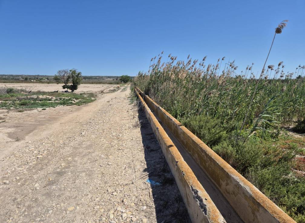 Resale - Rural Land - La hoya - La Hoya-Daimes-El Derramador