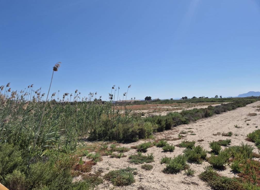 Resale - Rural Land - La hoya - La Hoya-Daimes-El Derramador