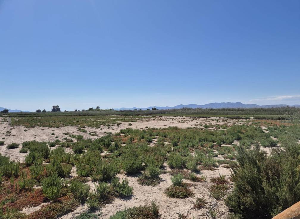 Resale - Rural Land - La hoya - La Hoya-Daimes-El Derramador