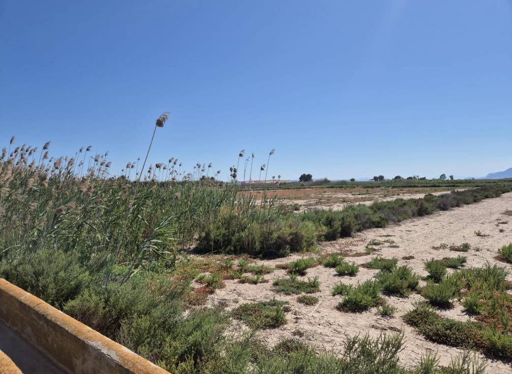 Resale - Rural Land - La hoya - La Hoya-Daimes-El Derramador