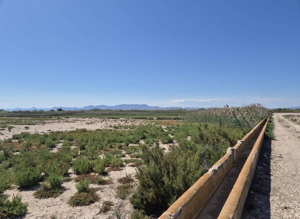 Resale - Rural Land - La hoya - La Hoya-Daimes-El Derramador