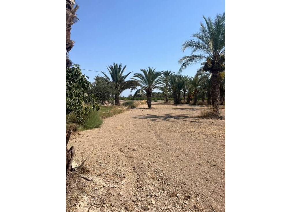 Resale - Rural Land - Matola - Algoda-Matola-Llano de San José