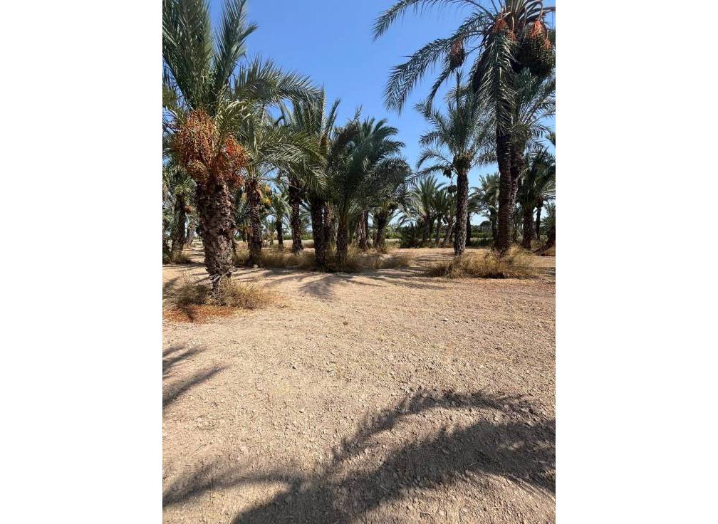 Resale - Rural Land - Matola - Algoda-Matola-Llano de San José