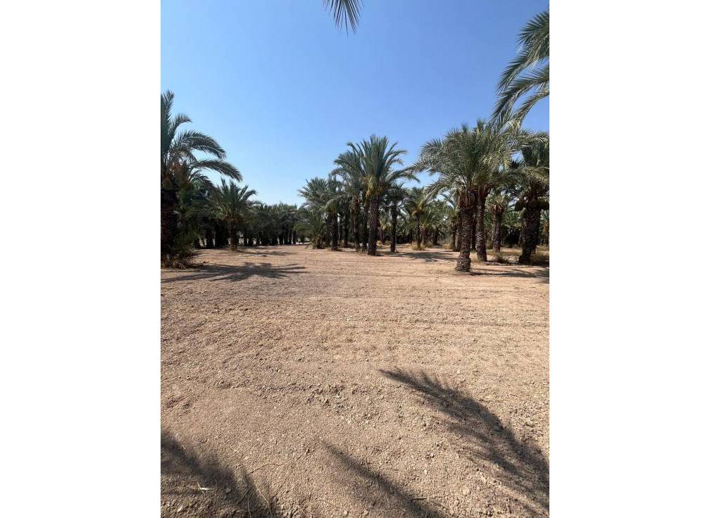 Resale - Rural Land - Matola - Algoda-Matola-Llano de San José