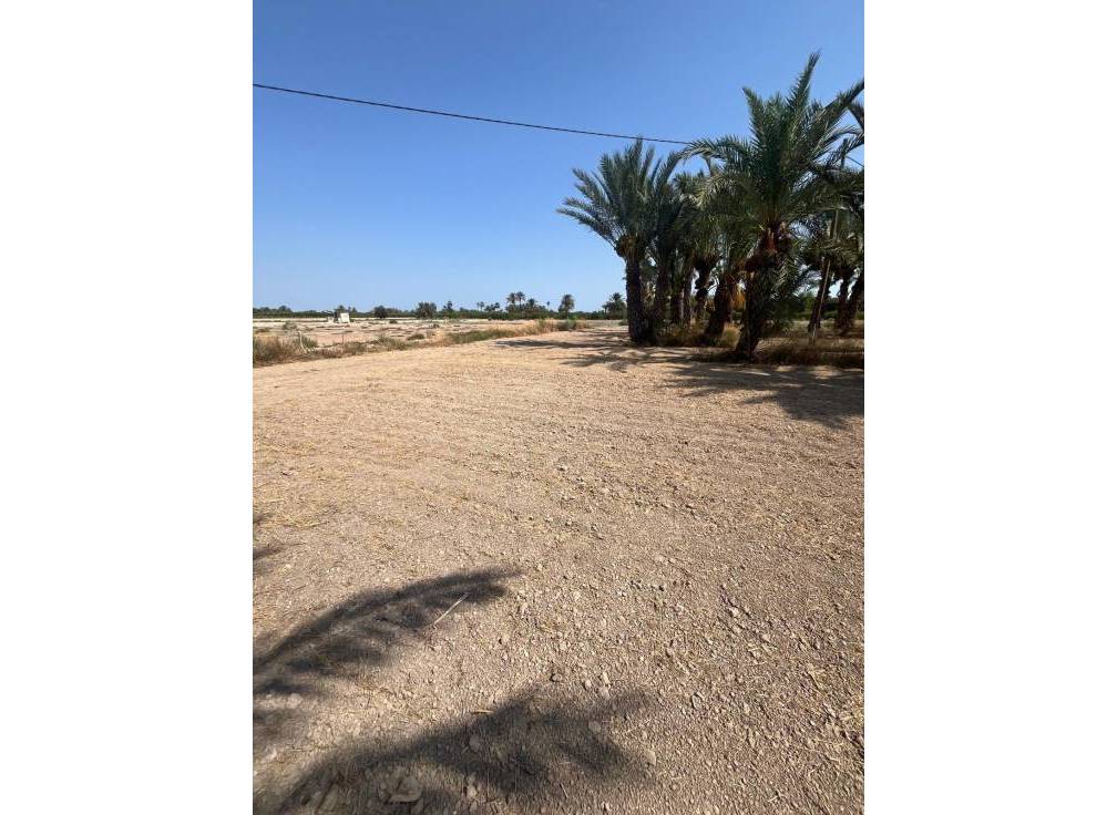 Resale - Rural Land - Matola - Algoda-Matola-Llano de San José