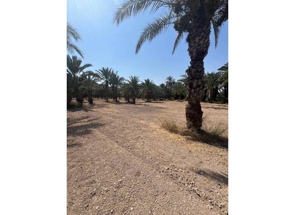 Resale - Rural Land - Matola - Algoda-Matola-Llano de San José