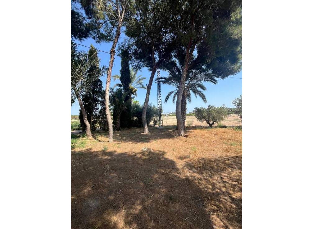 Resale - Rural Land - Matola - Algoda-Matola-Llano de San José