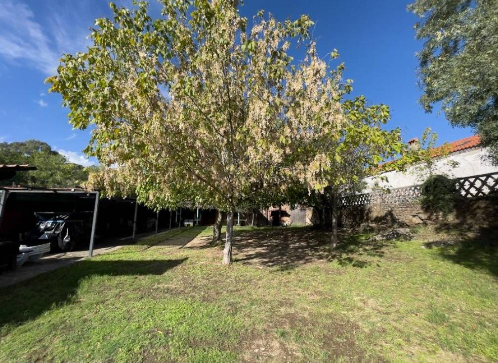 Resale -  - Torremenga - Extremadura