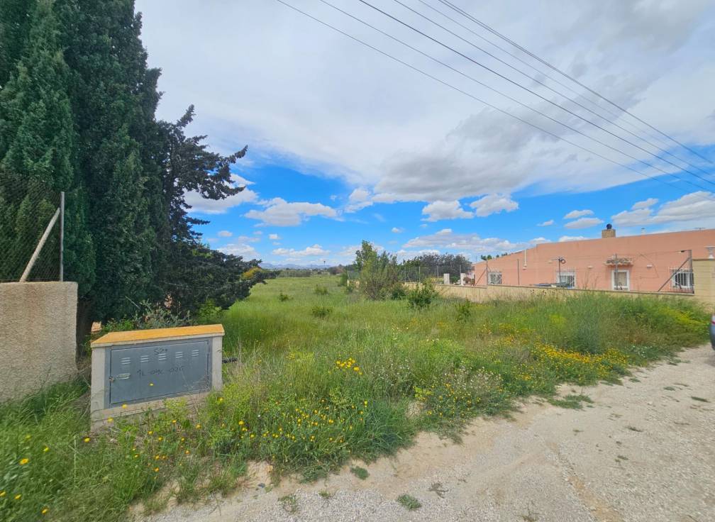 Resale -  - Valverde (Alicante) - Valverde