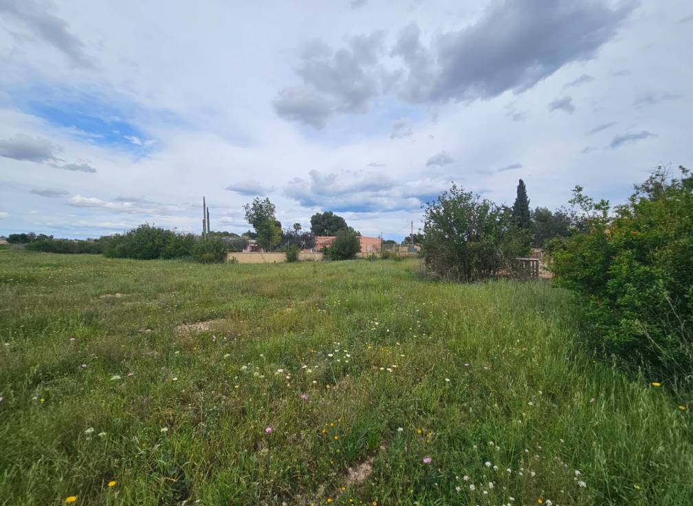 Resale -  - Valverde (Alicante) - Valverde