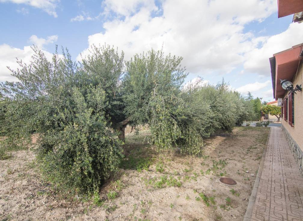 Resale - Villa - Crevillent - Comunidad valenciana