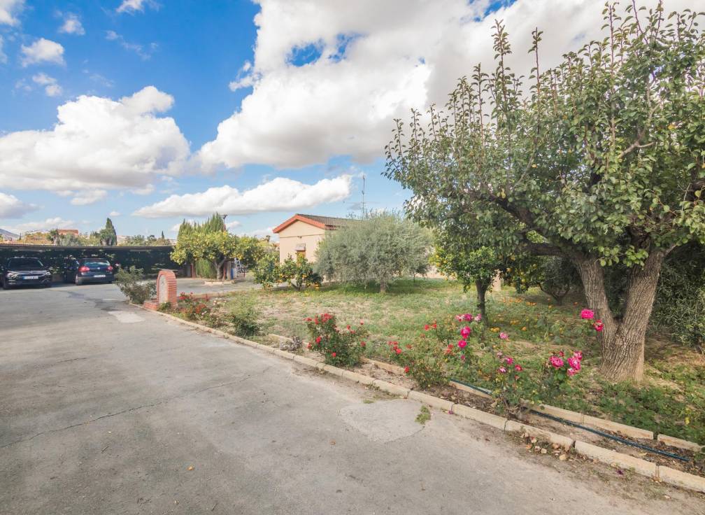 Resale - Villa - Crevillent - Comunidad valenciana