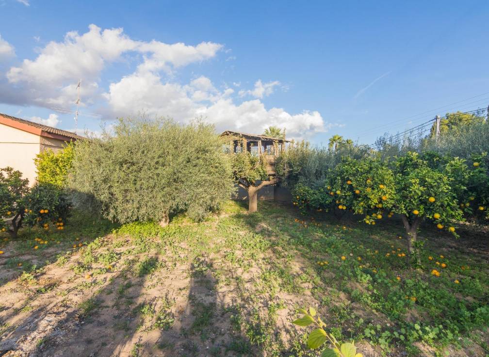 Resale - Villa - Crevillent - Comunidad valenciana