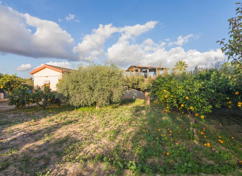 Resale - Villa - Crevillent - Comunidad valenciana