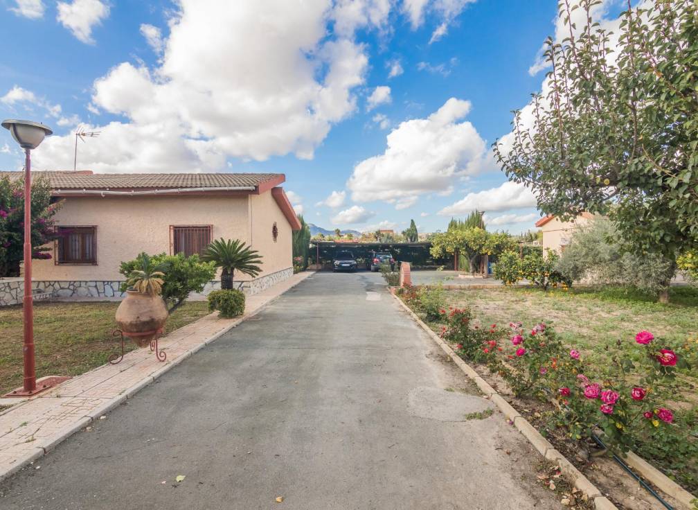 Resale - Villa - Crevillent - Comunidad valenciana