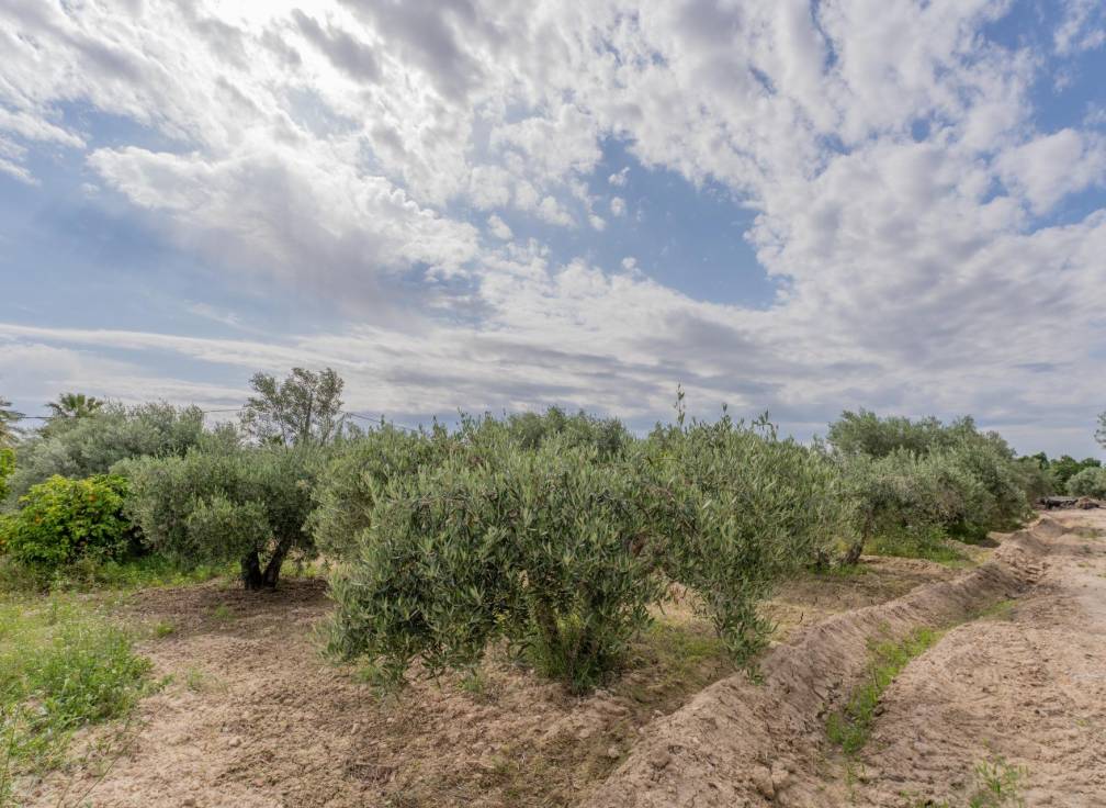Resale - Villa - Crevillent - DERRAMADOR