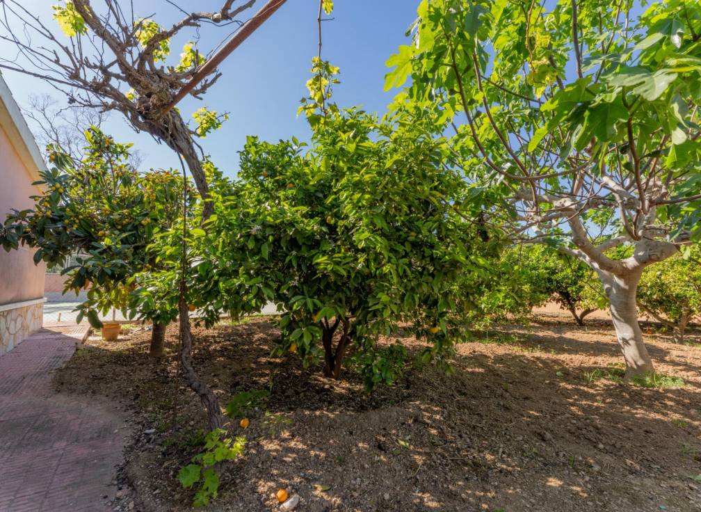 Resale - Villa - El altet - El Altet - Balsares