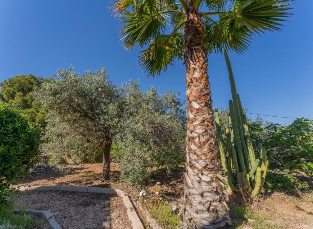 Resale - Villa - El altet - El Altet - Balsares