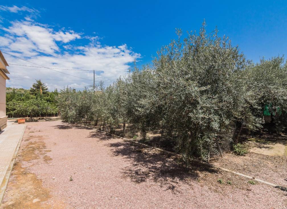 Resale - Villa - Elche - Bonavista