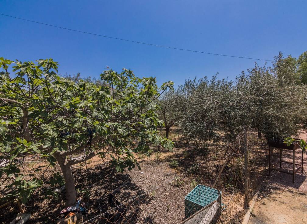 Resale - Villa - Elche - Bonavista