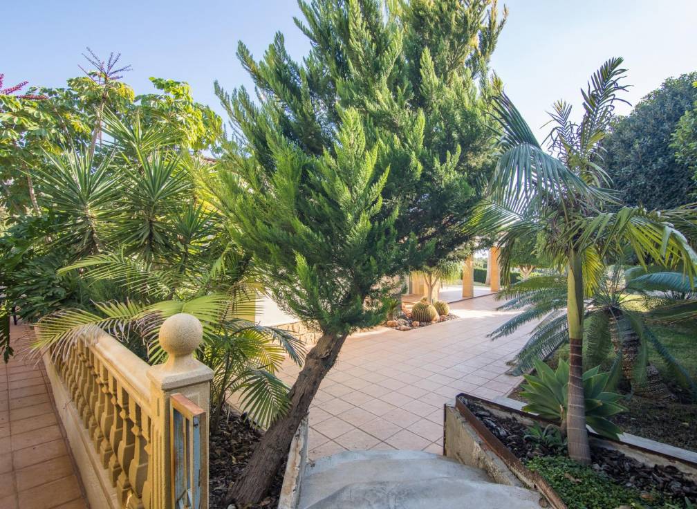 Resale - Villa - Elche - Bonavista