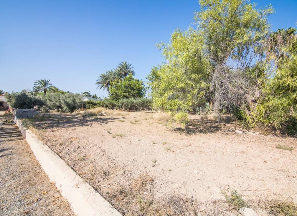 Resale - Villa - Elche - Elche / Elx